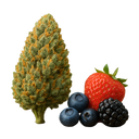 BLOCKBERRY