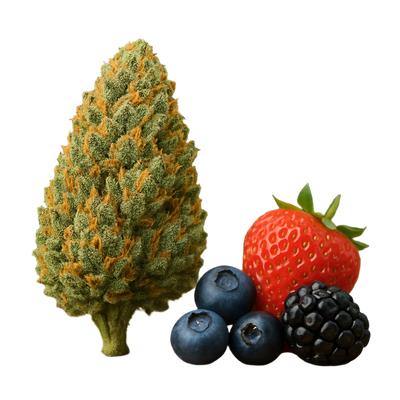 BLOCKBERRY
